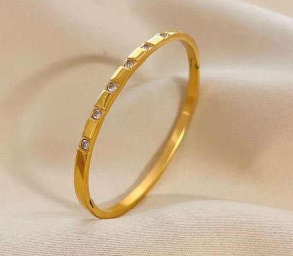 Gold Anti Tarnish Water proof stainless steel Bangle for men and women